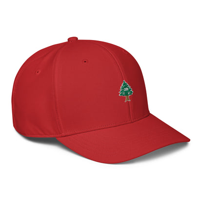 Cedar Adidas Performance Cap