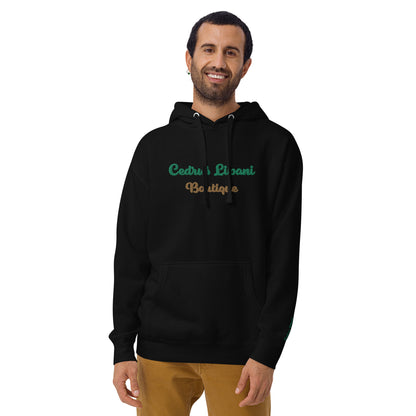 Script Embroidery Men's Hoodie