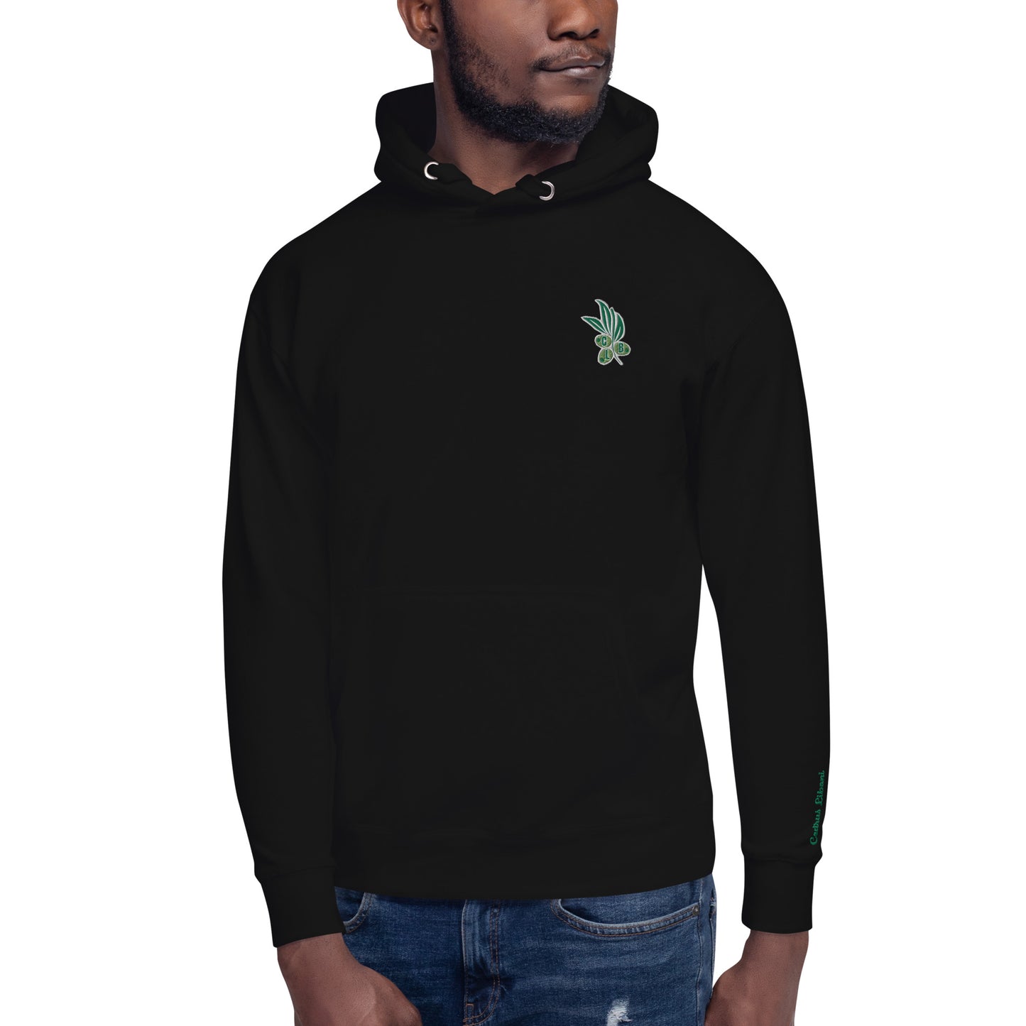 Zaytun Embroidery Men's Hoodie