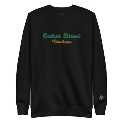 Script Embroidery Men's Sweatshirt