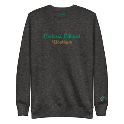 Script Embroidery Men's Sweatshirt