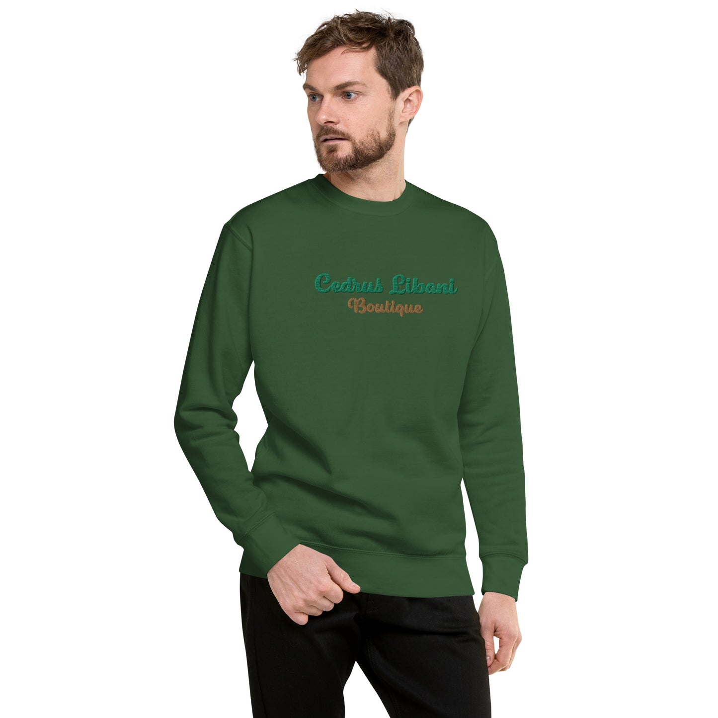 Script Embroidery Men's Sweatshirt