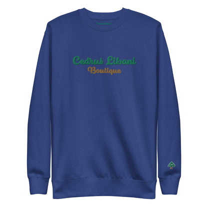 Script Embroidery Men's Sweatshirt